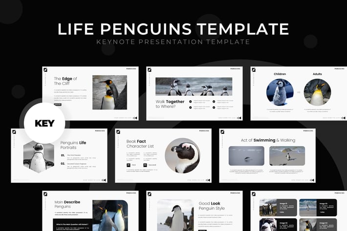 Life Penguin - Keynote Template