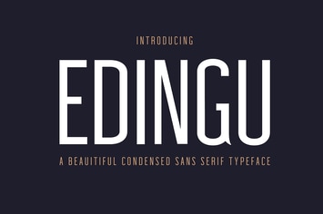 Edingu Sans Serif Font Family