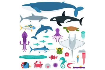 Underwater Animals and Sea Creatures
