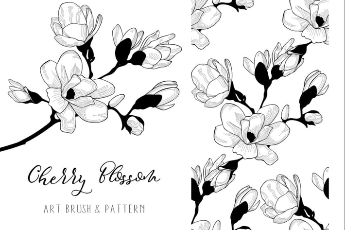 Cherry Blossom. Floral Design Element. Art Brush.