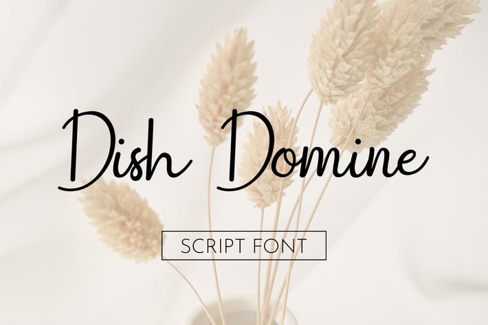 Dish Domine Handwritten Script