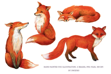 Fox Illustration, watercolor