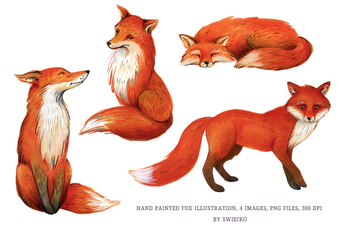 Fox Illustration, watercolor