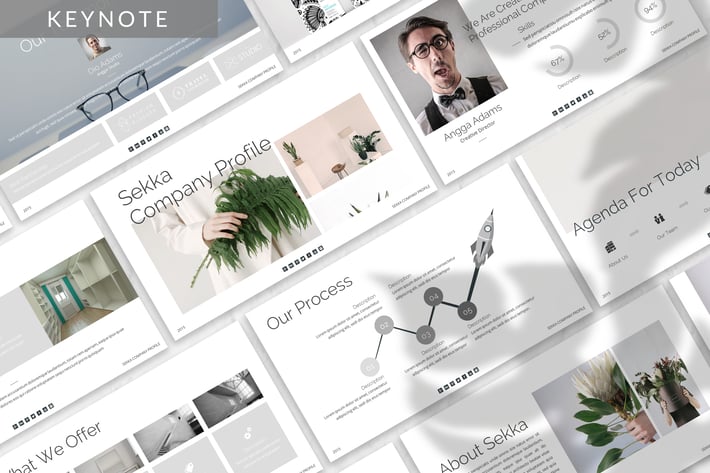 Sekka - Business Keynote Template