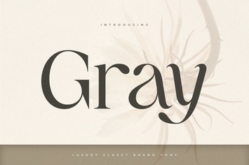 Gray - Luxury Classy Brand Font