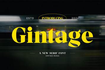 Gintage - Modern Display Serif