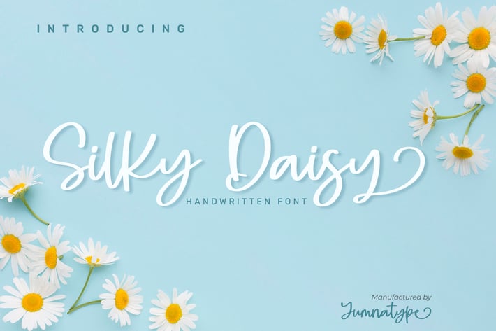 Silky Daisy
