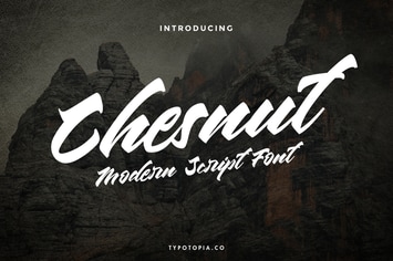Chesnut Modern Script Font