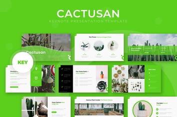 Cactusan - Keynote Template