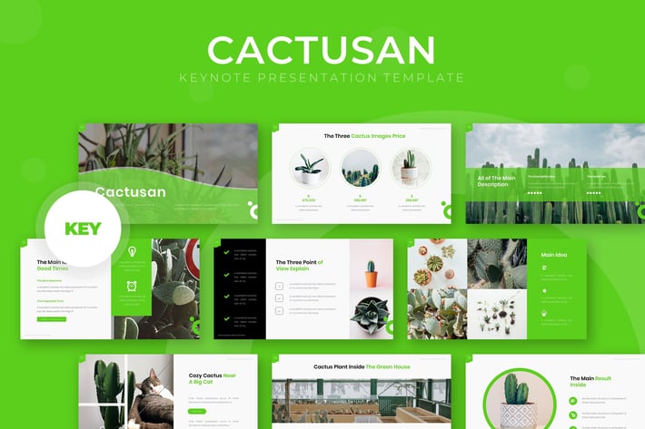 Cactusan - Keynote Template