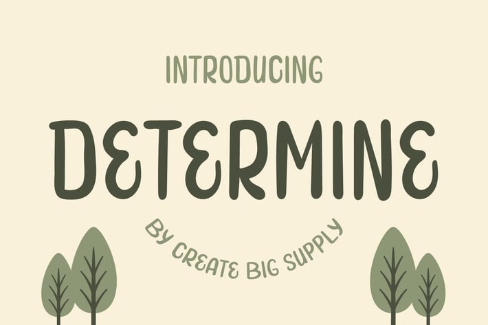Determine - Handwriting Display Font