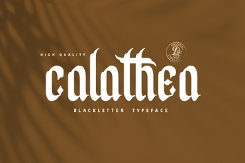 Calathea