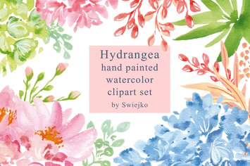Hydrangea, watercolor flowers