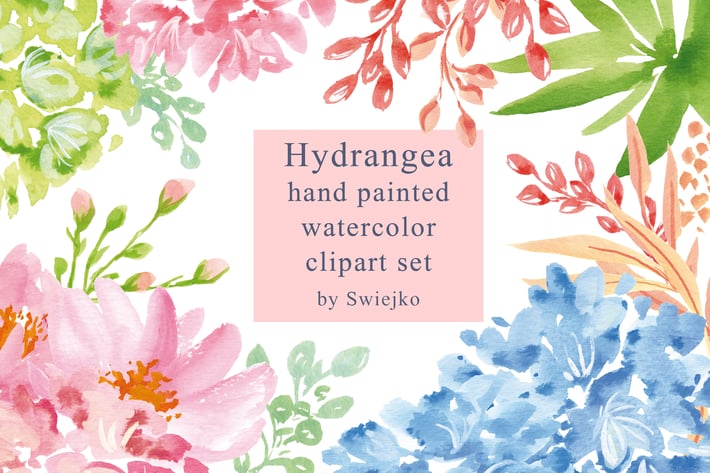 Hydrangea, watercolor flowers