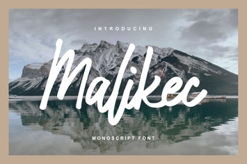 Malikec | Mono Script Font