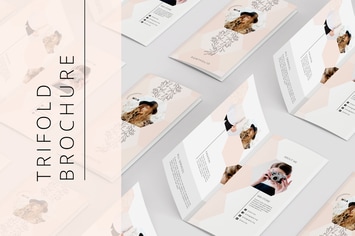 Portfolio Trifold Flyer
