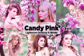 Pink Portrait Presets Desktop and Mobile
