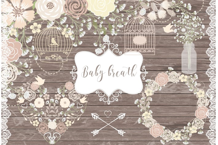 Vector Rustic baby's breath wedding clipart
