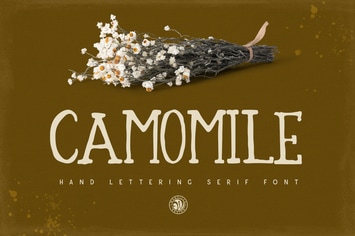 Camomile