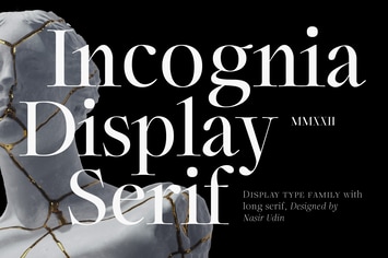 Incognia - 10 Fonts