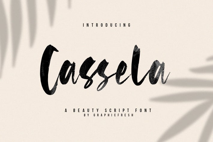 Cassela - The Beauty Script Font