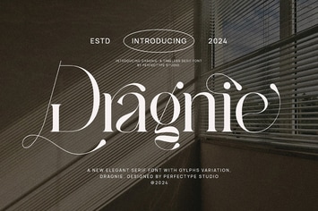 Dragnie Elegant Ligature Serif Font Typeface