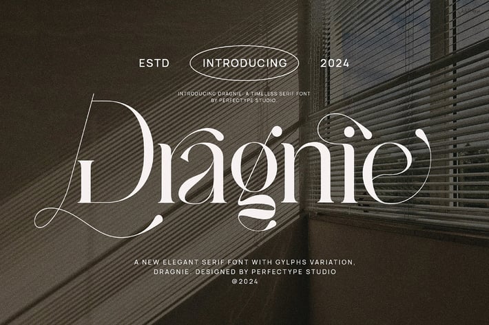 Dragnie Elegant Ligature Serif Font Typeface