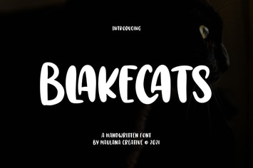 Blakecats Handwritten Font