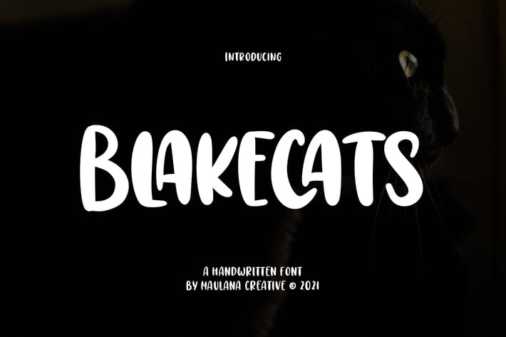 Blakecats Handwritten Font