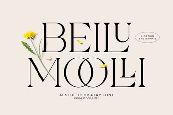 Beilu Mooli - Modern Retro Fonts