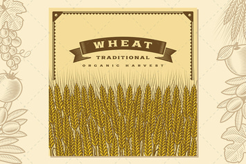 Retro Wheat Harvest Card