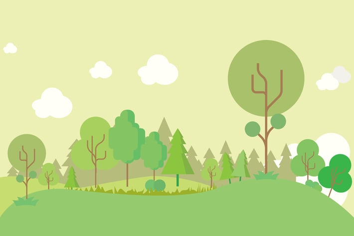 Forest - Illustration Background