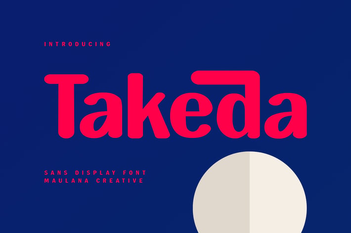 Takeda Sans Display Font Rounded