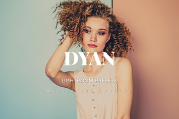 Dyan Lightroom Presets Dekstop and Mobile