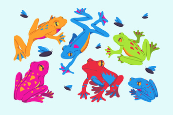 Froggy Clipart