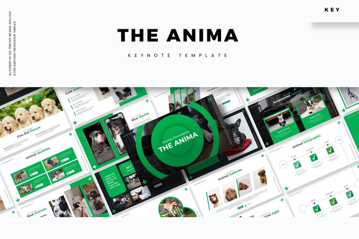 The Anima - Keynote Template