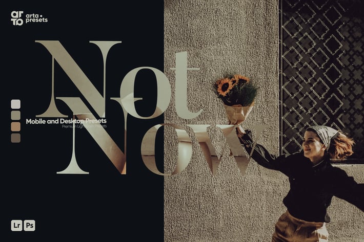 ARTA - NotNow Presets for Lightroom