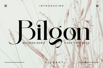 Bilgon Modern Serif Typeface