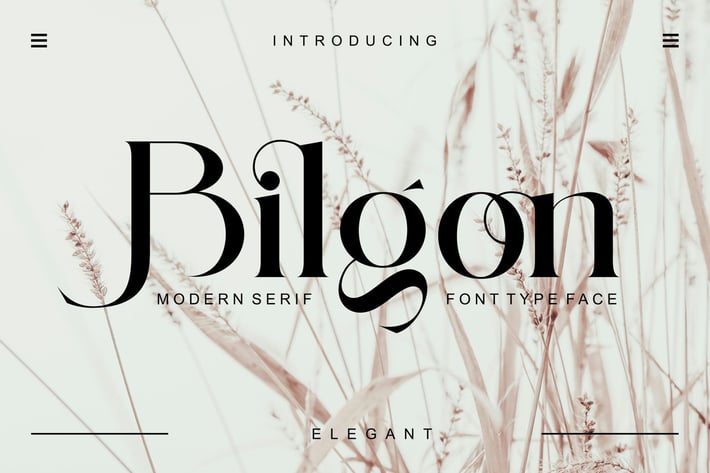 Bilgon Modern Serif Typeface