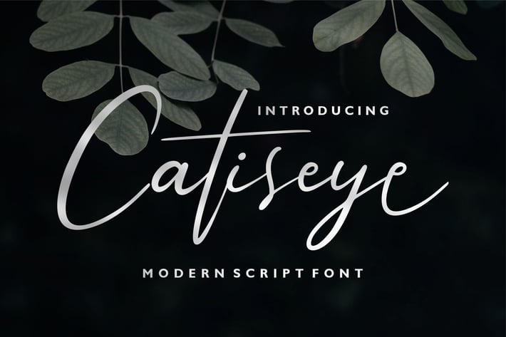 Catiseye | Modern Script Font