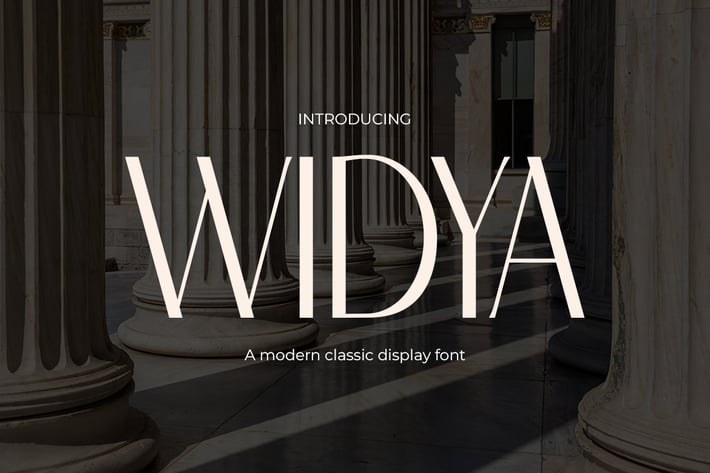 Widya - Classic Sans Serif Modern Font