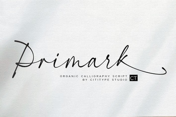 Primark - Modern Calligraphy
