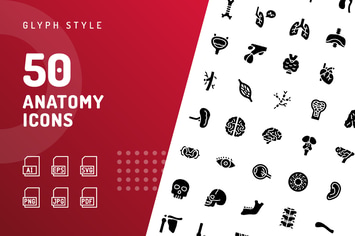 Anatomy Glyph Icons