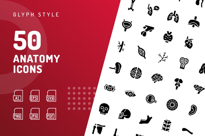 Anatomy Glyph Icons