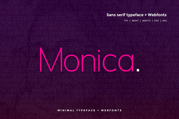 Monica - Modern Typeface + WebFonts