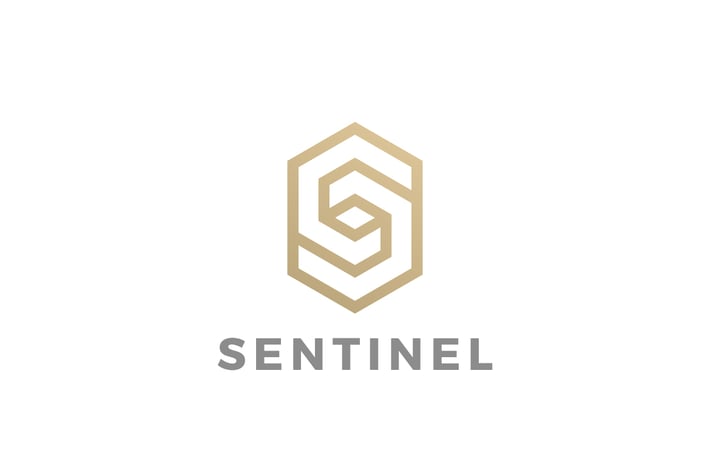 Logo S Letter Luxury Linear design