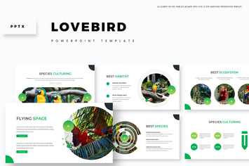 Love Bird - Powerpoint Template