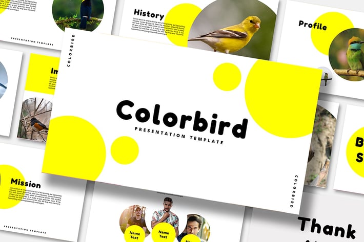 Color Bird - Keynote Template