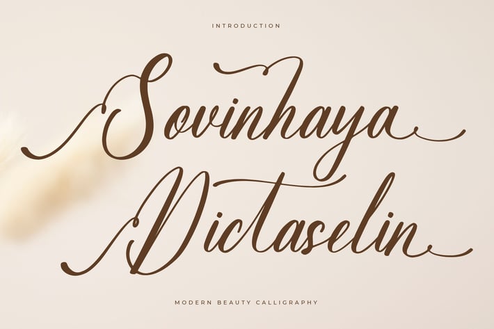 Sovinhaya Dictaselin Modern Calligraphy Font