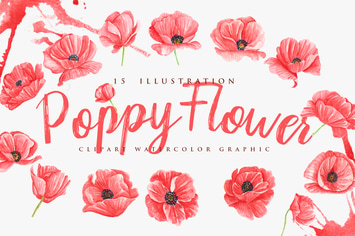15 Watercolor Poppy Flower Illustration